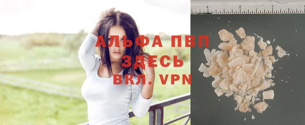 СК Надым