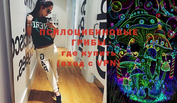 СК Надым