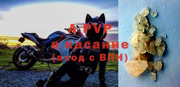 СК Надым