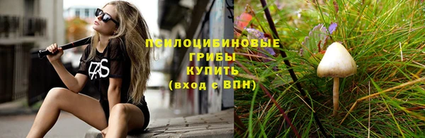 СК Надым
