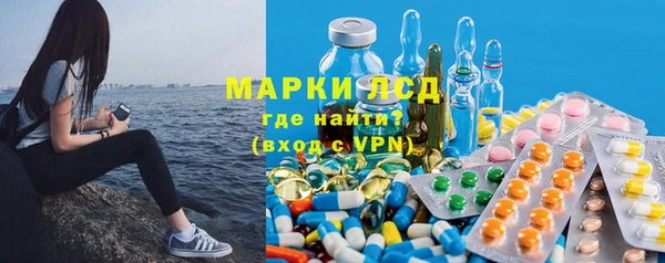 индика Нефтегорск