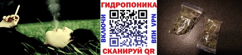 Купить закладки Фокино Конопля LSD WEED